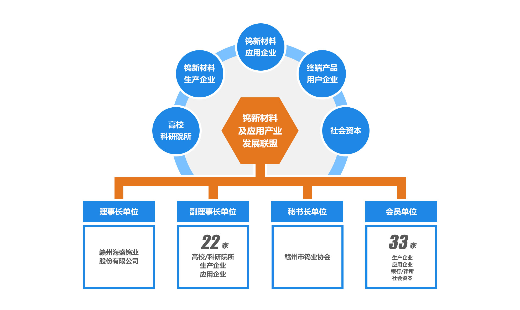 联盟组成图片
